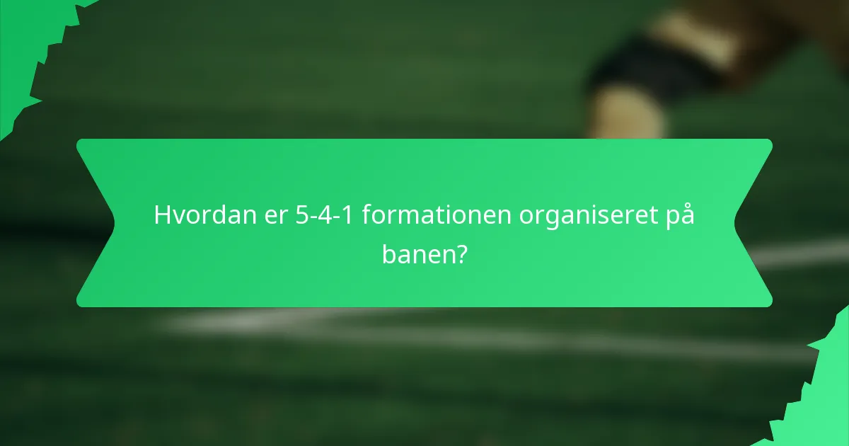 Hvordan er 5-4-1 formationen organiseret på banen?